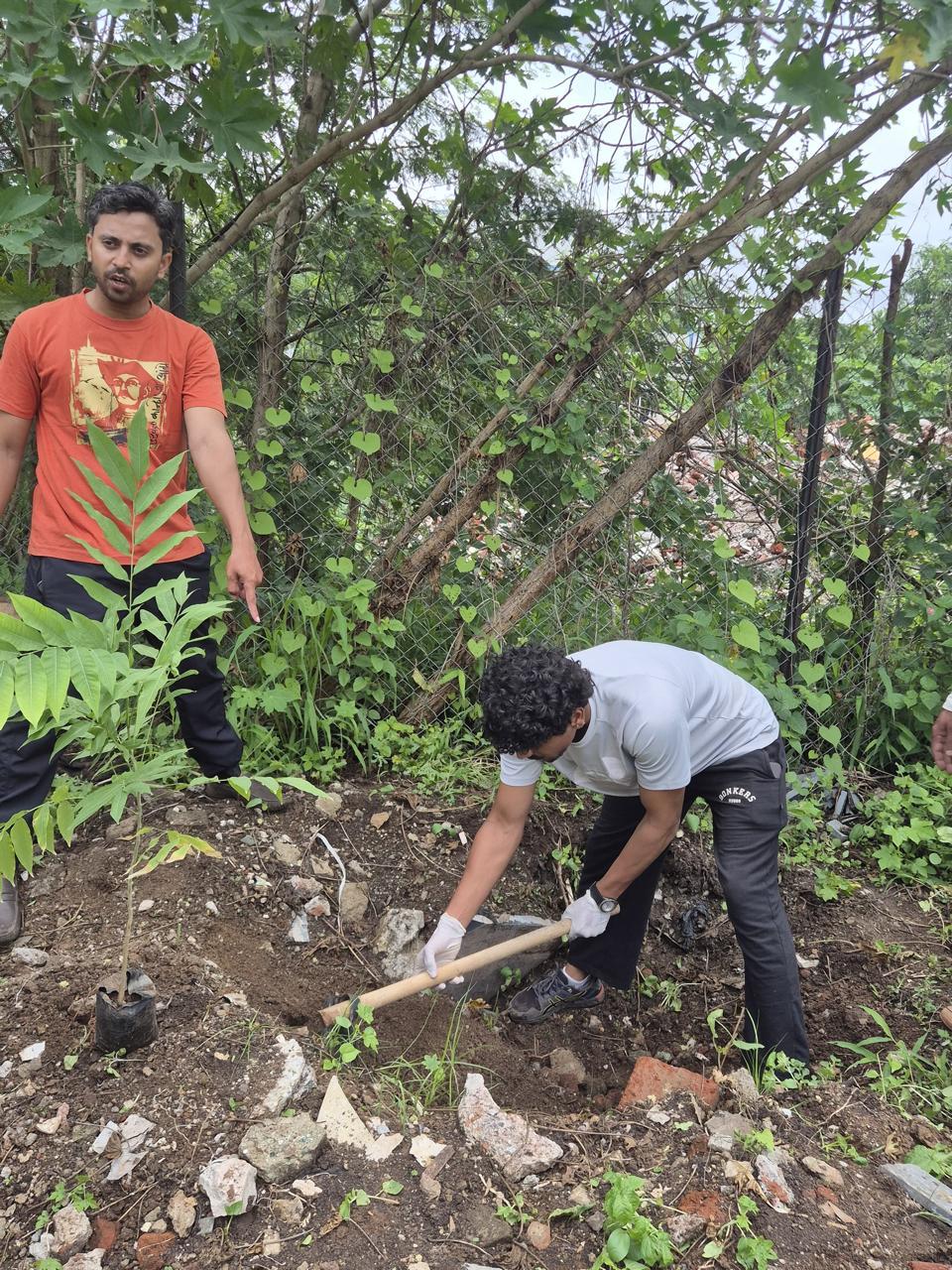 वृक्षारोपण